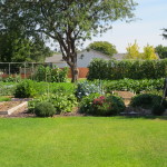 Community garden original plot