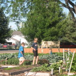 Kids exploring the garden
